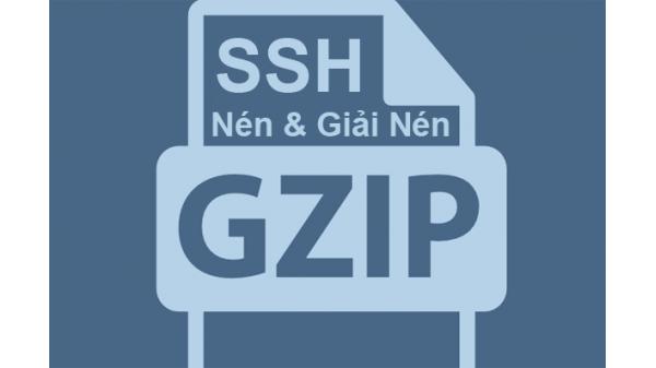 Nén và Giải nén file Tar, Gzip và Zip Trên SSH VPS